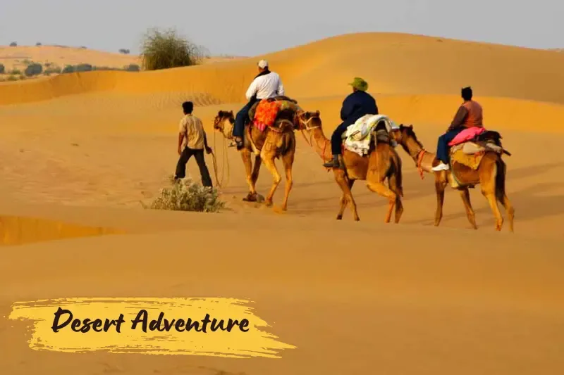 Rajasthan Tour Packages