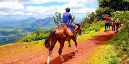 Horse Rides & Walking Trails