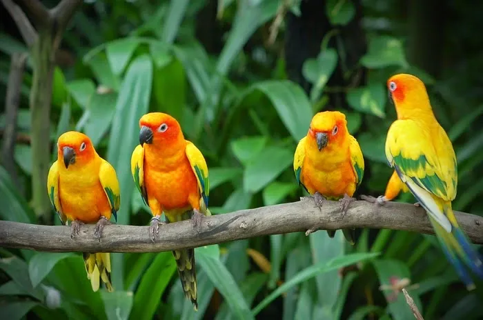 Karnala Bird Sanctuary Trip
