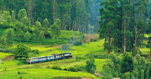 Explore the Beauty of Nilgiris with Ooty Tour Packages from Pune