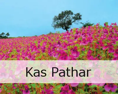 Kas Pathar