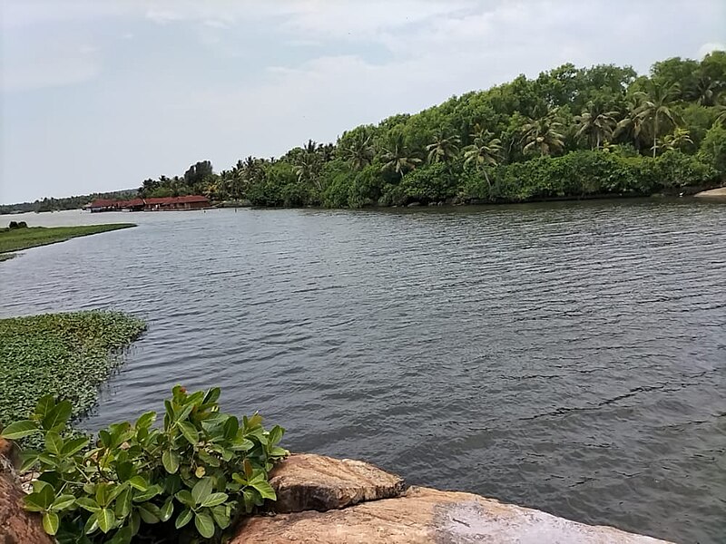 Shastri River Backwaters