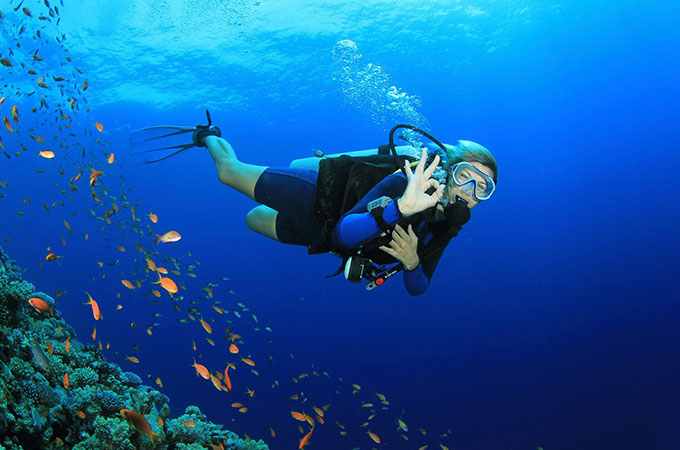 Scuba Diving & Water Sports