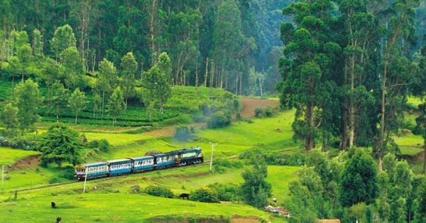 Explore the Beauty of Nilgiris with Ooty Tour Packages from Pune